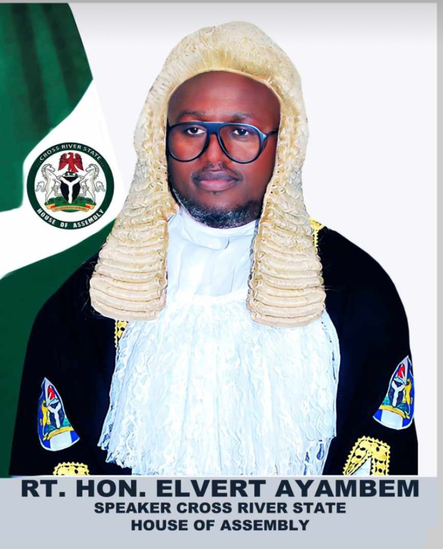 C'River: Speaker Assures IRS Of Effective Synergy To Boost IGR 