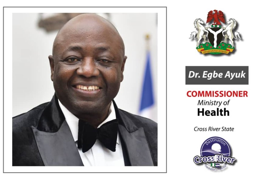 Current Spending On Healthcare In Nigeria Deplorable, Unacceptable - Ayuk