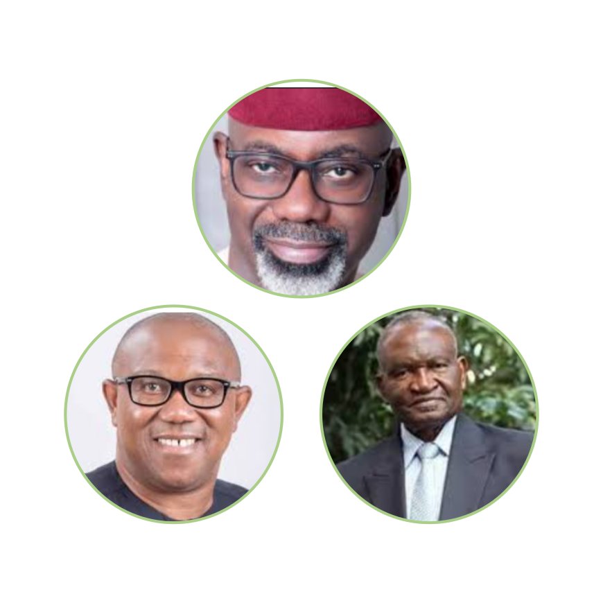 Peter Obi, Imoke, Agabi, Others Forfeit Abuja Choice Plots Over Procrastination