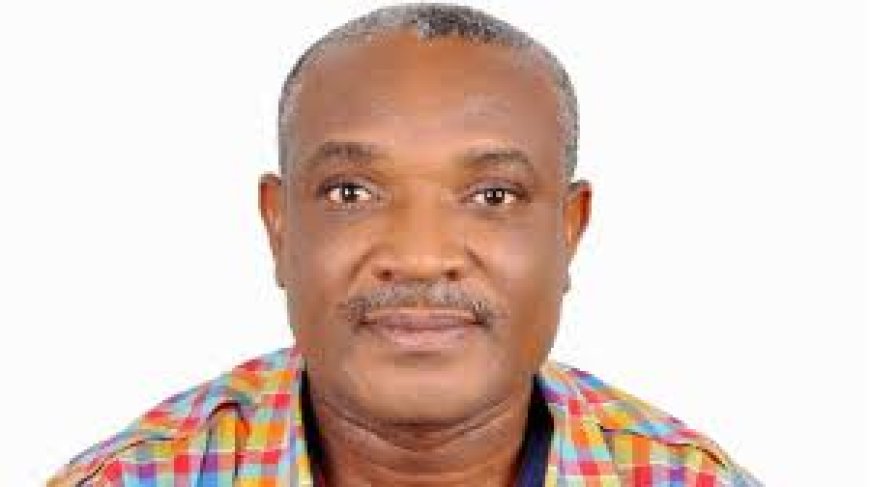 Cross River: Activist Chides Assembly Public Accounts Committee for Frustrating Government's Efforts To Stem Criminal Logging