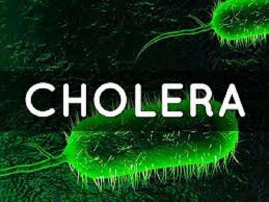 Cross River Ranked Among States With The Highest Cholera Cases