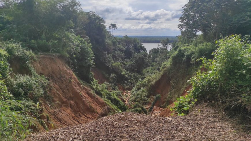 C'River NEWMAP Moves To Tackle Erosion In Calabar