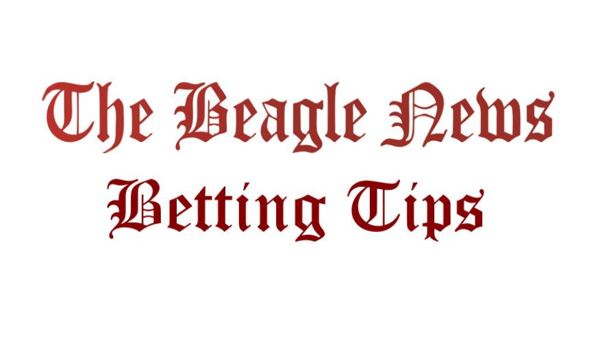 Beagles Betting Tips For The Weekend