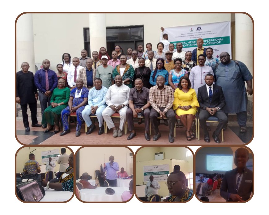 C'River Strengthens Fight Against Viral Hepatitis, As JHPIEGO, FMoH Support Development Plan