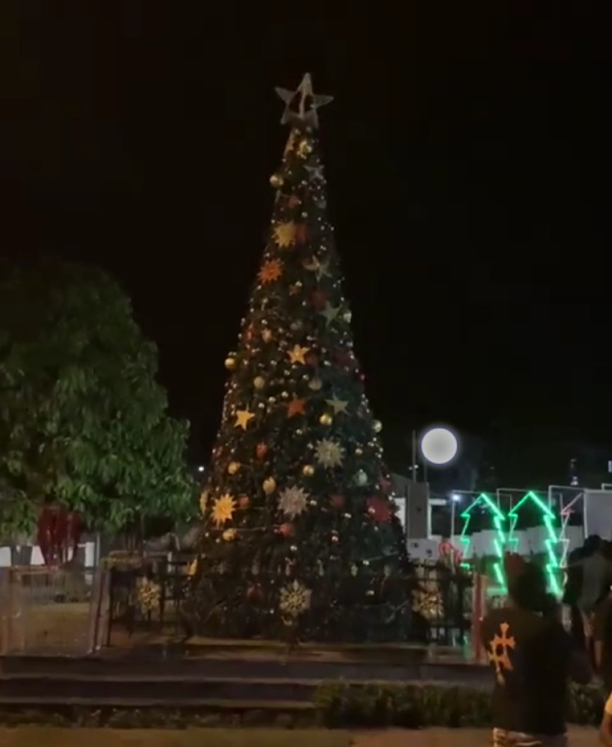 Calabar Comes Alive As Otu Lights Up 2023 Xmas Tree