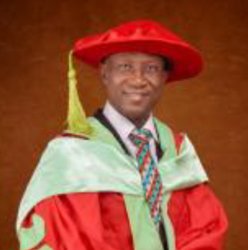 UNICAL Appoints Udoka Director UCPC