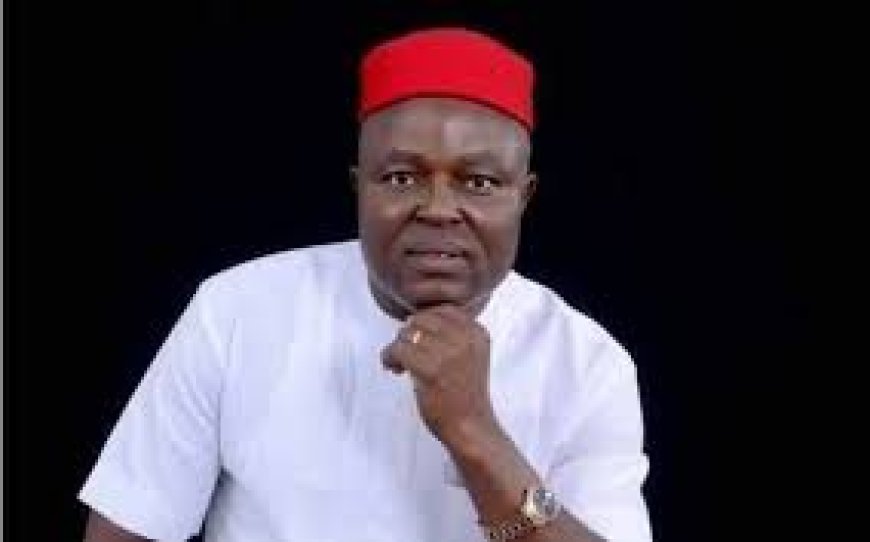 Ebonyi State: Works Minister's Younger Brother, Austin, Bows To Pressure, Withdraws From Senatorial By-Election