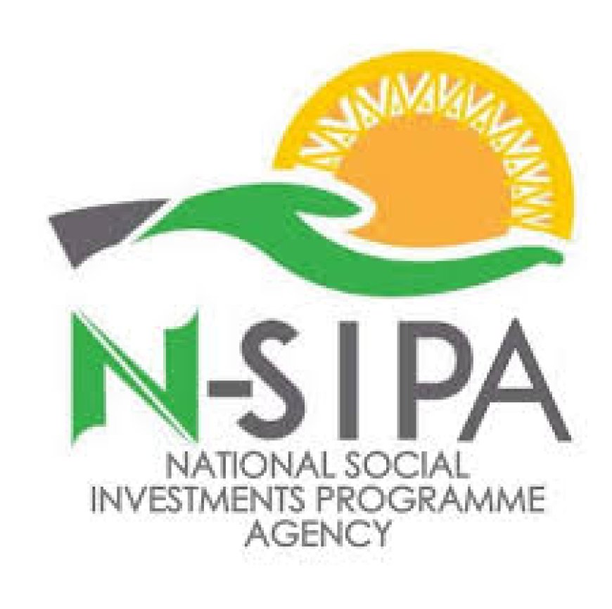 NSIPA: Setting The Record Straight On Recent Allegations, Affirming Commitment To Transparency