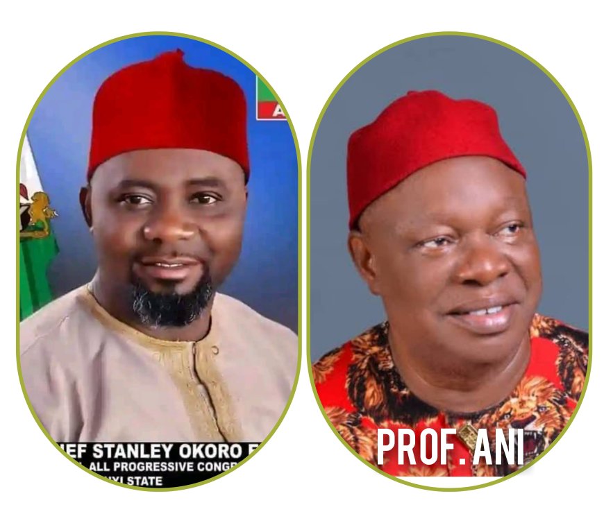 Ebonyi APC Chair, Emegha, Congratulates Professor Ani On Victory At Ebonyi South By-Election