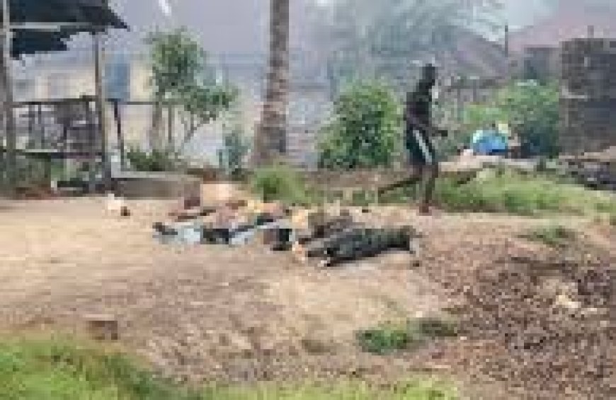 Delta Community Slaughters Soldiers On Peace Mission, Harvest Vital Organs