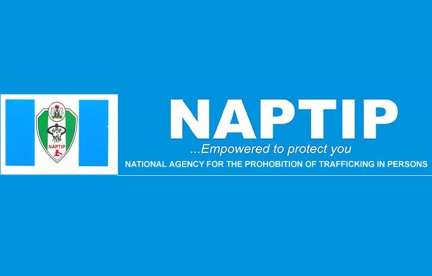 Edo State: NAPTIP Arrests Fake Rev Sister For Trafficking 38 Children