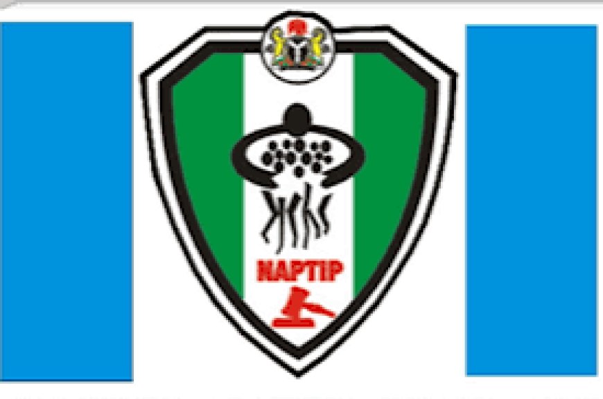 NAPTIP Rescue Three Trafficked Girls From Cote d'Ivoire