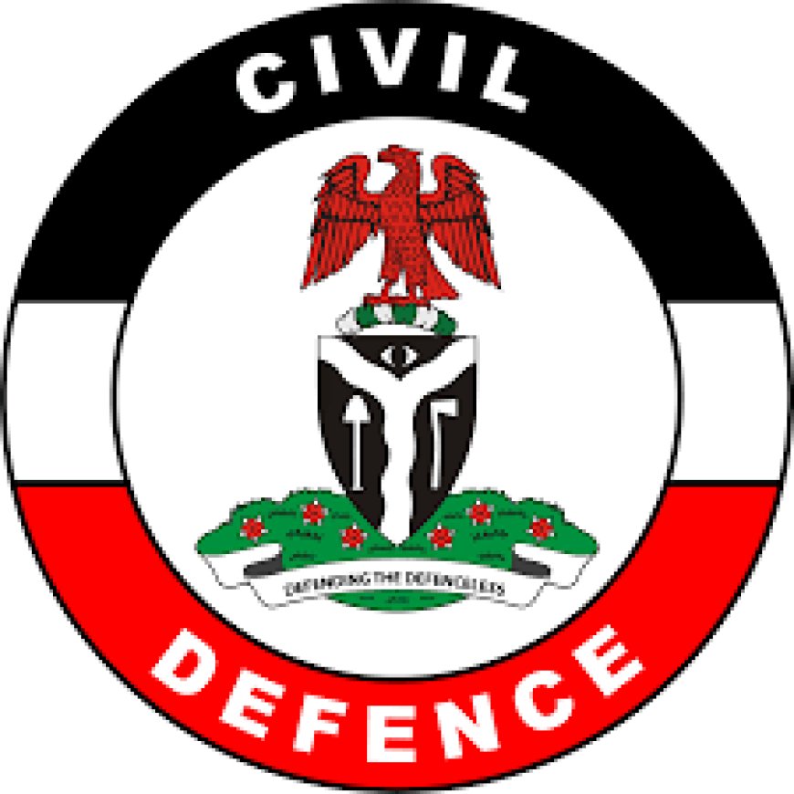 C'River: NSCDC Arrests 5 Suspected Cable Vandals For Destroying Over N2m Electricity Equipment