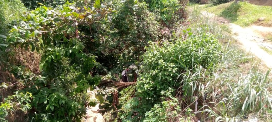 Calabar South Community Cries Out Over Abandoned Gully Erosion Site    