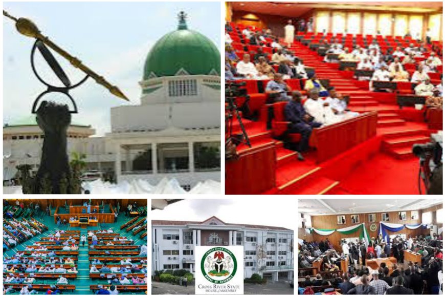 Kudos, Knocks Trail Lawmakers' One Year Anniversary