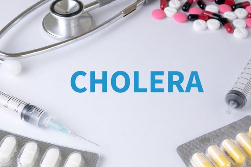 Cholera Outbreak: C'River Has Activated Emergency Response Team, Says Ayuk, Health Commissioner 