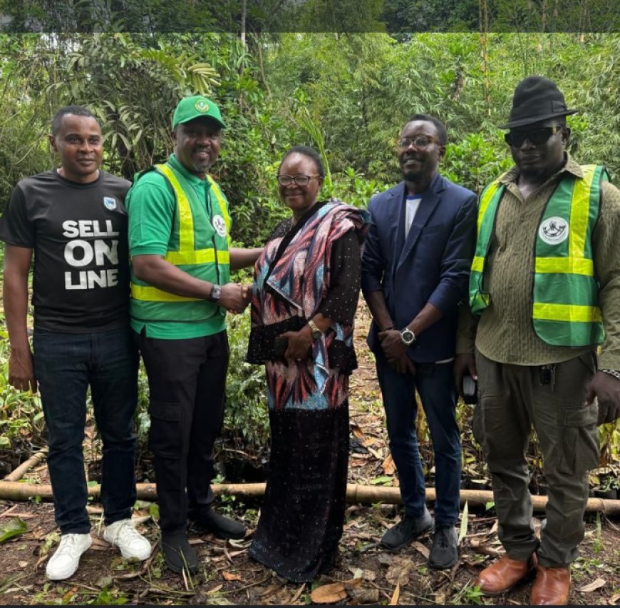 CRSG Partners ARADIN, Stanbic Bank To Plant 60,000 Trees 