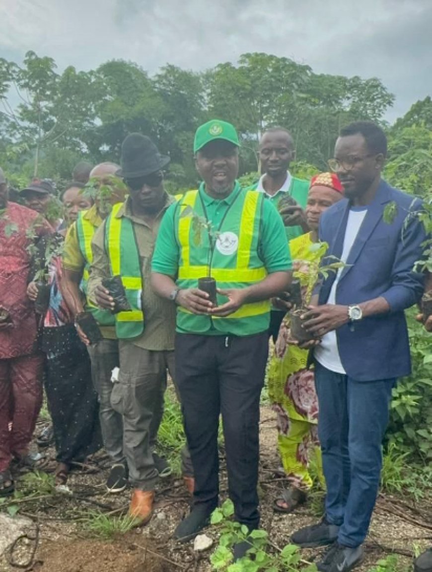 CRSG Partners ARADIN, Stanbic Bank To Plant 60,000 Trees 