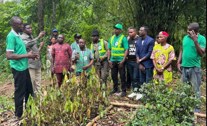 CRSG Partners ARADIN, Stanbic Bank To Plant 60,000 Trees 