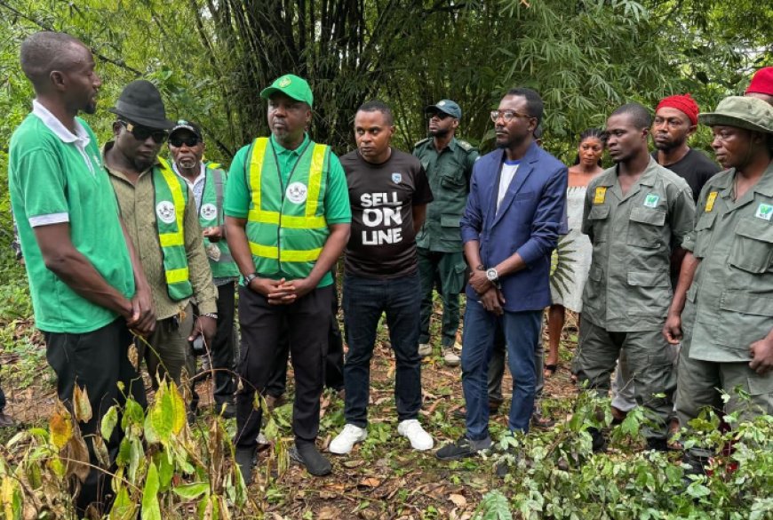 CRSG Partners ARADIN, Stanbic Bank To Plant 60,000 Trees 