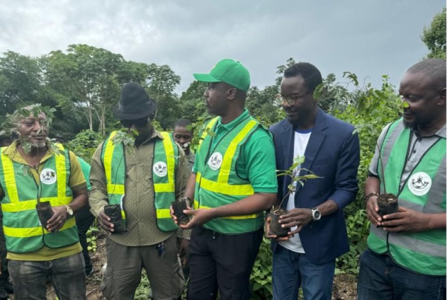 CRSG Partners ARADIN, Stanbic Bank To Plant 60,000 Trees 