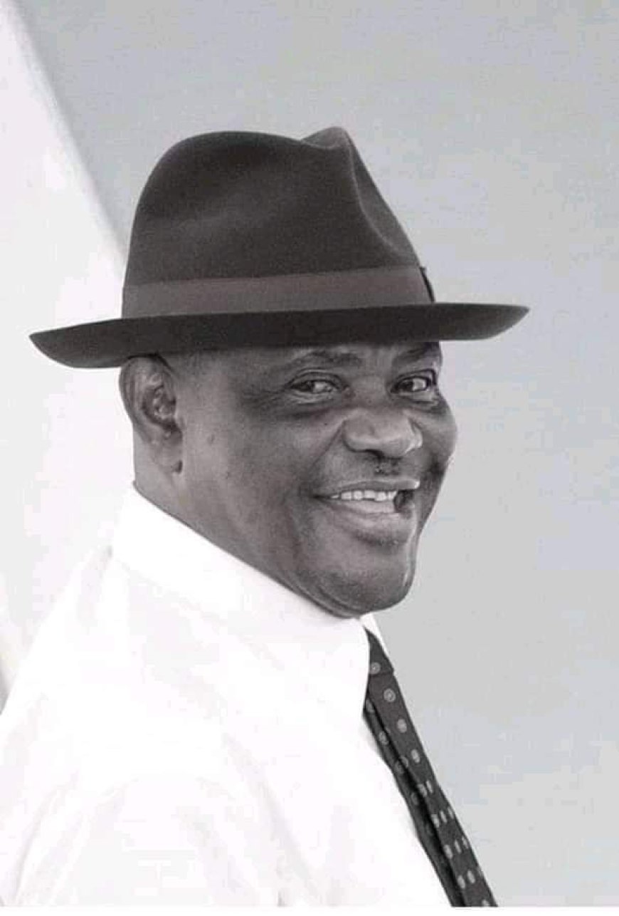 Wabara Unfit to Serve As PDP BOT Chairman – Wike