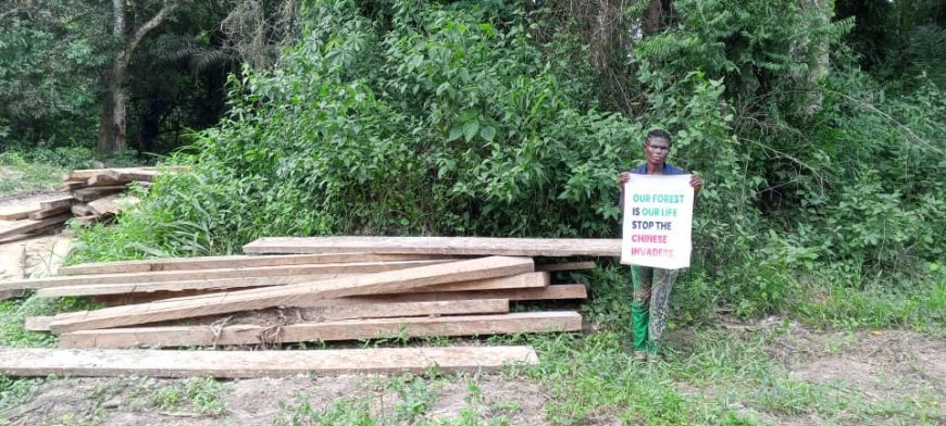 BREAKING...  Protest Rocks Okuni Community As Youths Chase Away Chinese Firm Engaged in Illegal Logging, Wood Processing