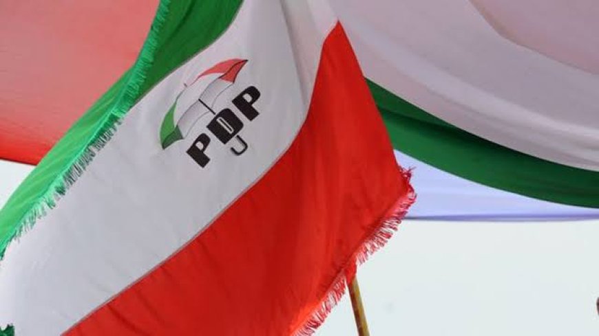 PDP Sets Up Disciplinary Committee To Investigate Allegations Against Damagum