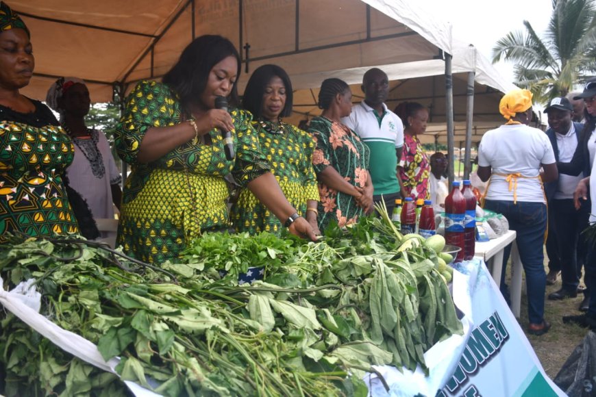 WFD: C'River Ranks Among Wheat Producing States In Nigeria, Says Agric. Commissioner