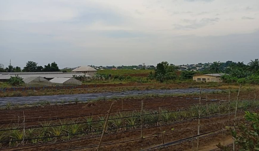 300,000 Farmers Across Nigeria Have benefitted From fNAGS-AP Project, Says Agric Minister, Kyari