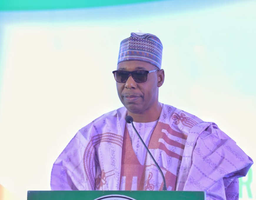 Zulum Approves Pay Rise For Borno Doctors To Equate FG Level