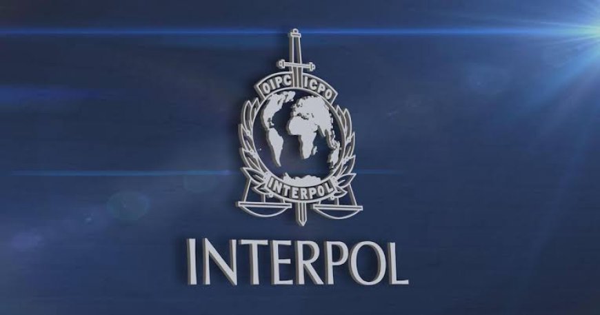 INTERPOL Declares 14 Nigerians Wanted For Drug, Human Trafficking, Treason