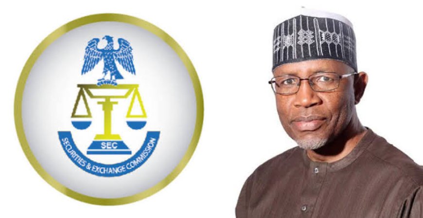 BUSINESS: SEC SET TO ERADICATE PONZI, PYRAMID SCHEMES