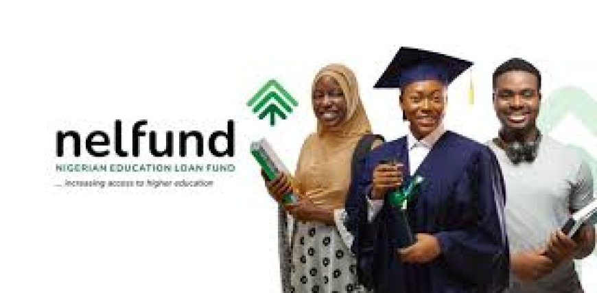 NELFUND DISBURSES N20.08BN TO 192,906 STUDENTS in January 2025 AS ADO BAYERO, MAIDUGURI, JOS VARSITIES TOP CHART