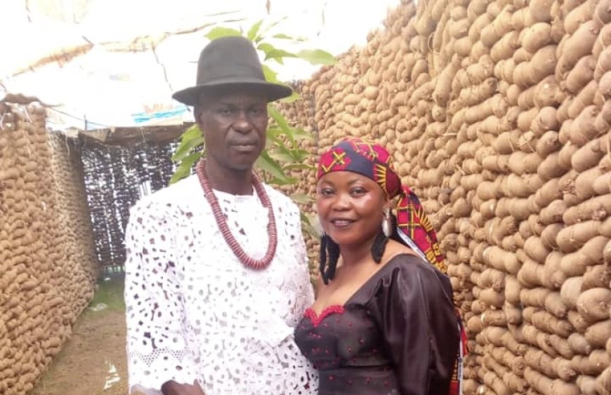 Cross River: Farmer Joins League of Highest Title Holder of 400 Sticks of Yams in Ugep Community