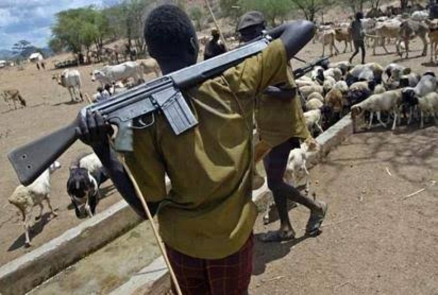 Ebonyi State: Many Killed As Suspected Herdsmen Attack Ebonyi Community