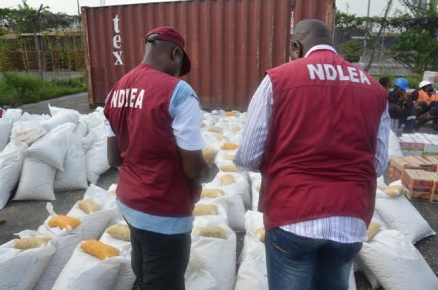 NDLEA arrests 799 suspects, seizes 2,000 kg of hard drugs in Akwa Ibom