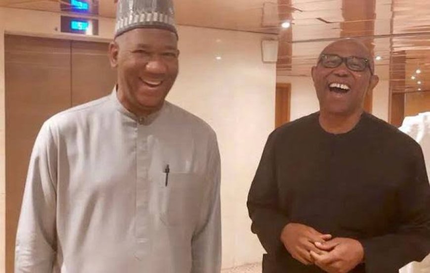 2027: Obi, Baba-Ahmed Set To Return To PDP