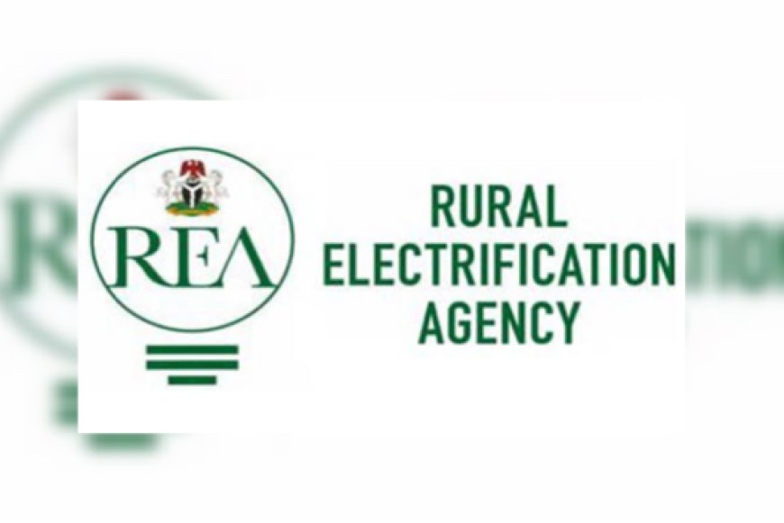 20 Fed Universities, 3 Teaching Hospitals, Receive Solar Power, Says REA CEO