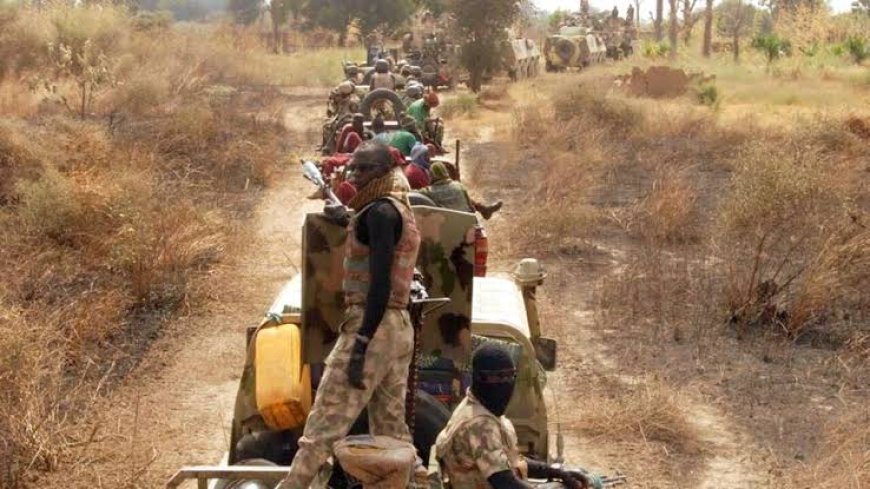 PRESIDENT BOLA TINUBU APPROVES THE ESTABLISHMENT OF FOREST GUARDS