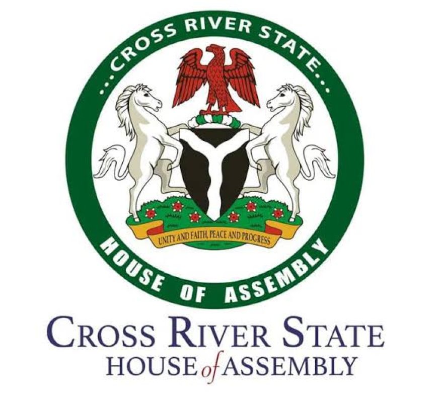 C'River Assembly Summons Content Creator Over Alleged False Claims on Lawmakers’ Salaries