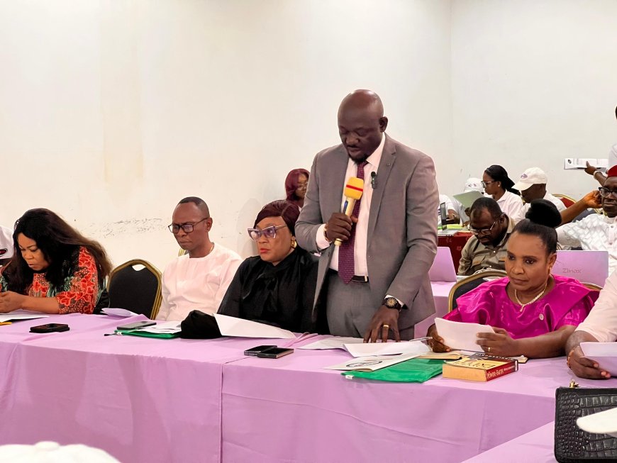 FEATURES: Cross River Rises as Model for State-Led Health Insurance Reform