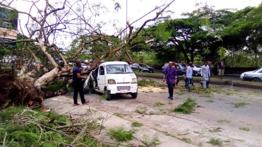 Before the Next Storm: A Call for Urgent Climate Action in Cross River State. 