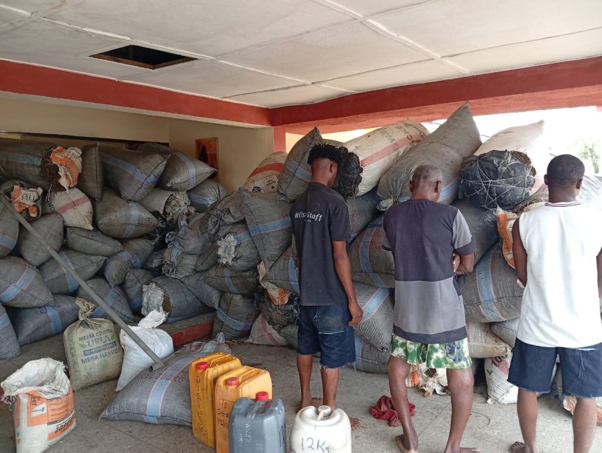 NDLEA Seizes 2.687 Tonnes of Cannabis Sativa, Seeds in C' River