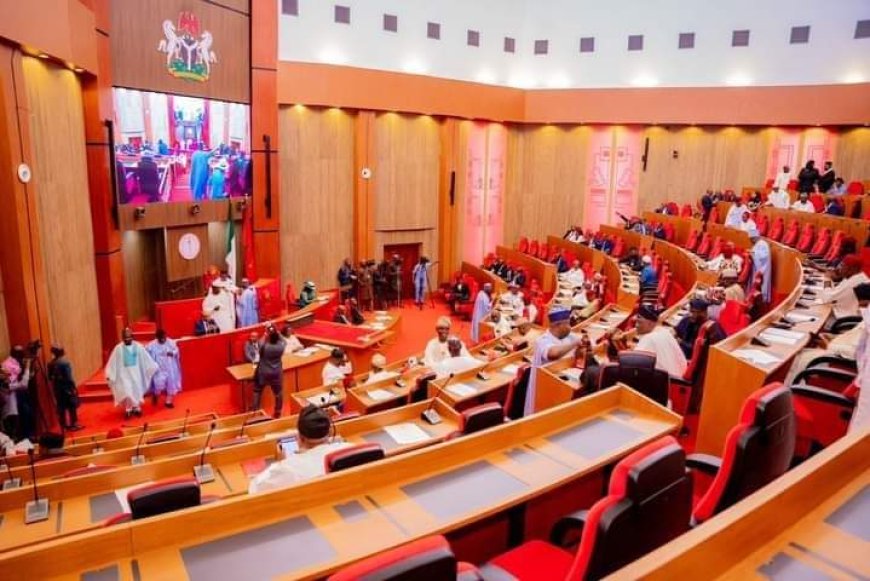 Reverse Degradation, Poverty, Senate Tells New SSDC Board
