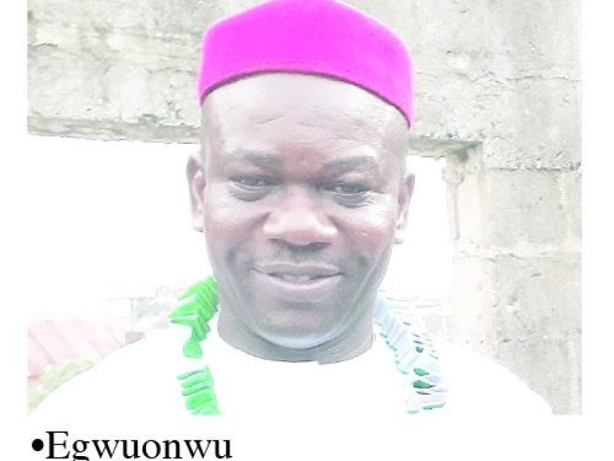 Cross River: Business Mogul, Egwuonwu, Emerges New Ohanaeze President, Promises Inclusive Government