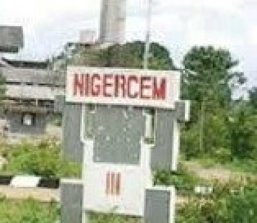 Profs Idike, Odoh, Nwankwo, Nwebonyi, Igariwey, Mbam, Eze, Ogban, Ogbuoji, 6 Others  Make List of Committee Members To Reactivate  NIGERCEM
