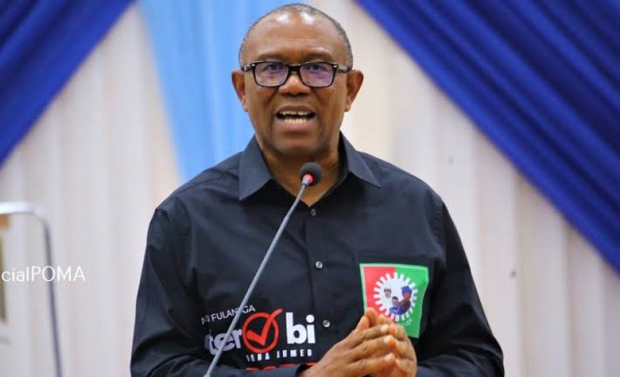Labour Party Faction Gives Peter Obi 48 Hours to Resign Over Coalition