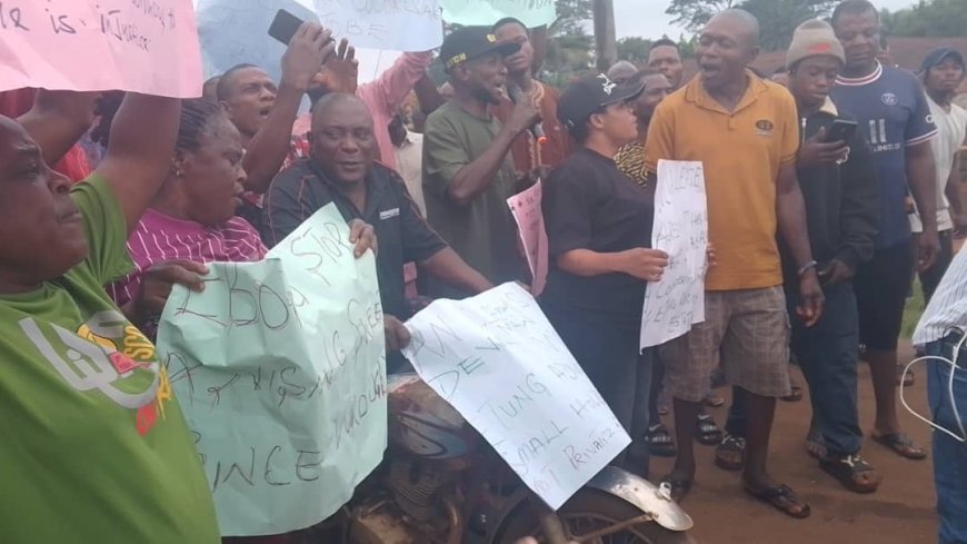 Cross River: Protest Rocks Etung Community Over Move to Privatise Cocoa Estate