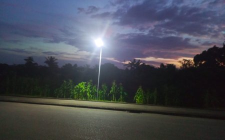 UNICAL Students Applaud VC Over Street Lighting
